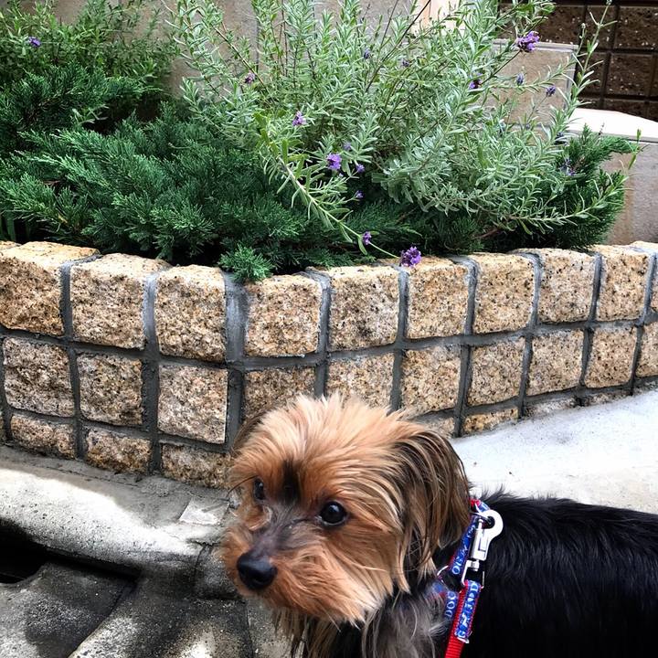 75a0dc49 20b9 44e3 9c42 44b8d49a6425