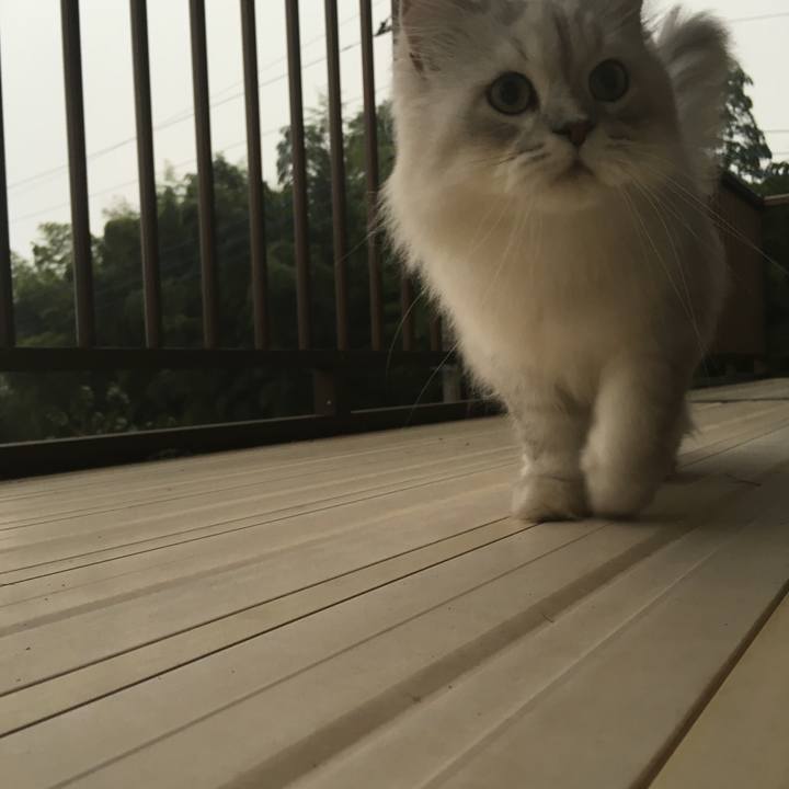 75a19935 7c40 4d4d 8a62 0603081ec701