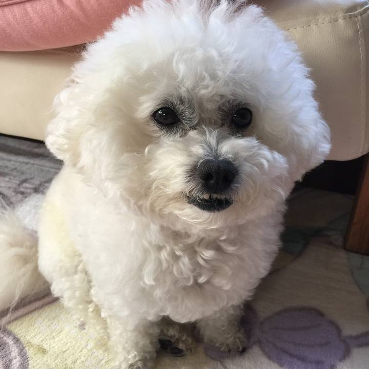 75a1c5d1 a1ae 4217 8946 f1fdbfbd7ae1