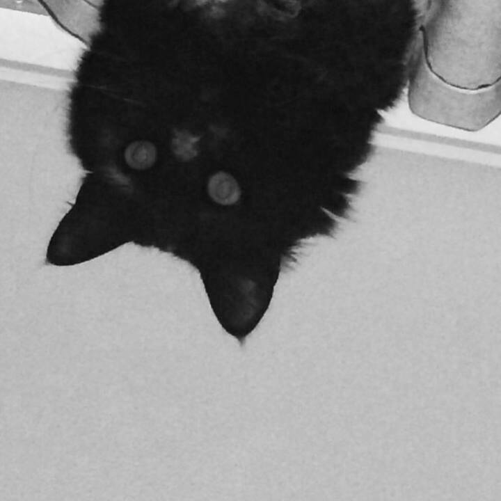 75a1e38b 6e5a 473a 887e c54dc34d4d58