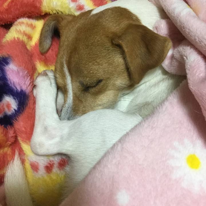 75a20cc6 72ec 4eab aa20 c4573369b3d6