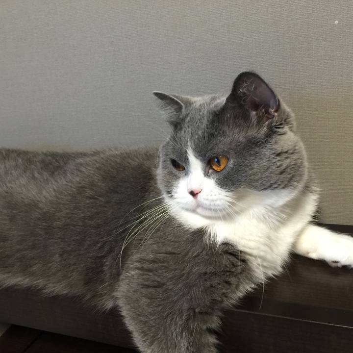 75a2d040 0174 4142 9a5e 17f0fd7dc6be