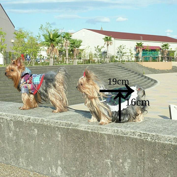 75a2e6f0 cb20 4d87 b545 6b13fb556ea9