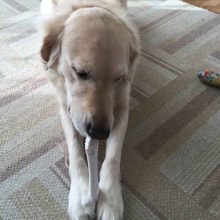 75a3cc61 6bd6 4135 9a27 88f9f260b629