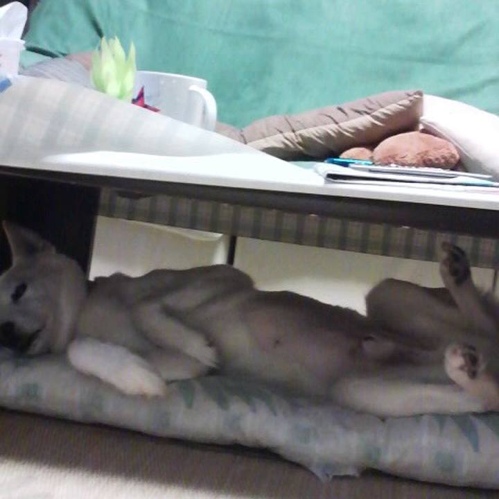 75a40645 4efb 4b27 bf62 21d0e74d8512