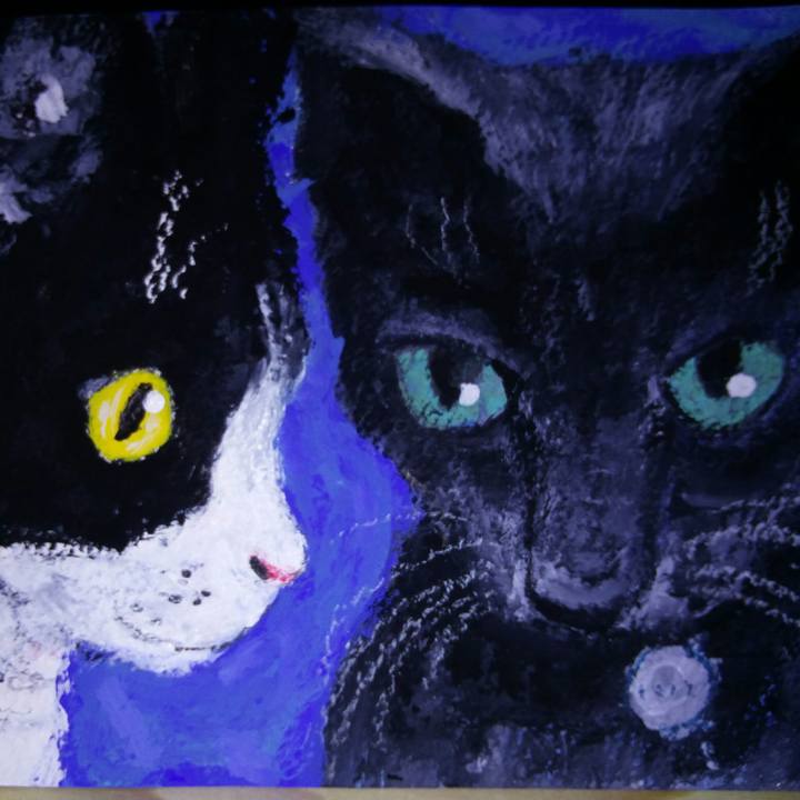 75a41927 f1c0 4f3d aba6 0ea08bea2a4c