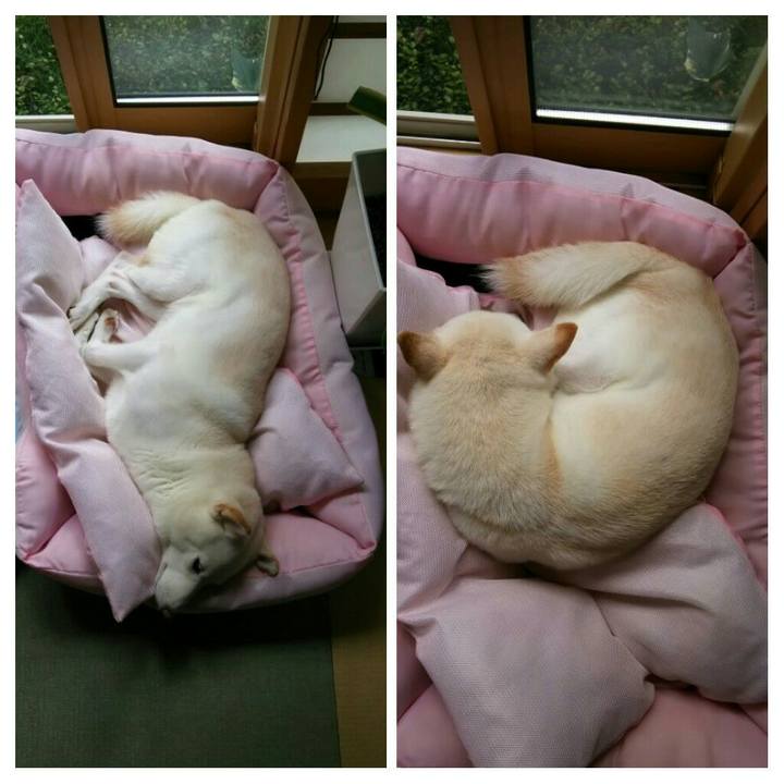 75a49b48 b648 4cc6 9141 d63a0e245c70