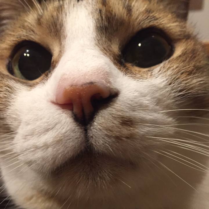 75a51545 6739 4c6e b9af 848db14be6b7