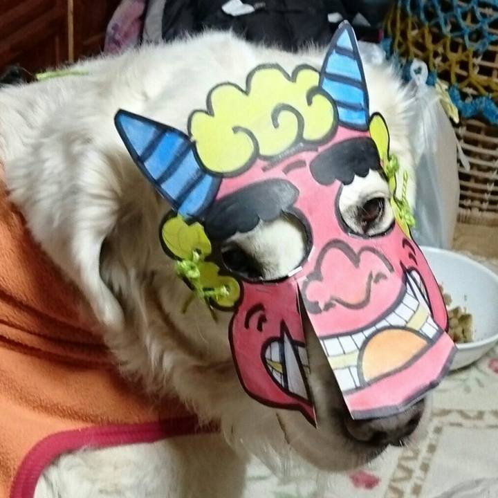 75a51a43 5814 4aa8 8053 86930533fc57