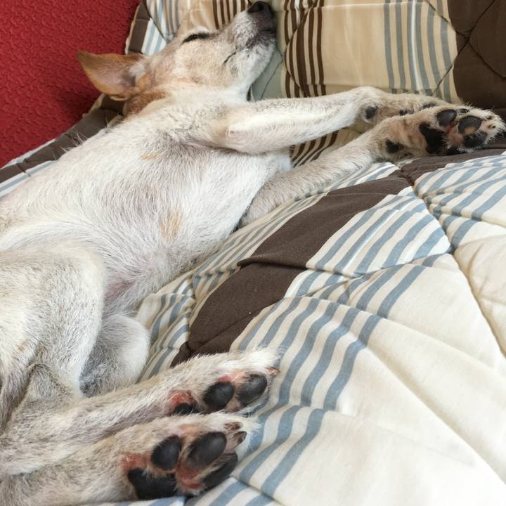 75a58dea 9e43 4d6a 8eed d5384631ccce