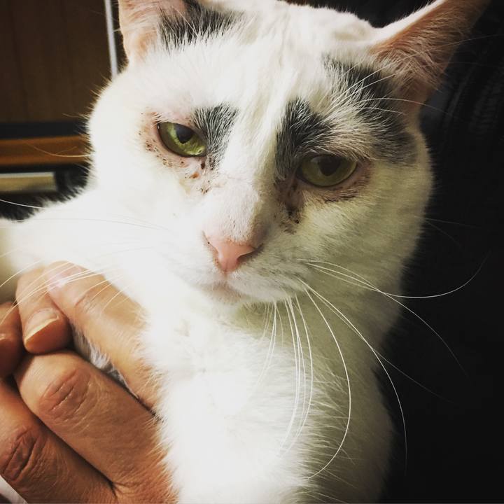 75a5b6dc 05bd 4d22 8c6b a9df2cedcb48