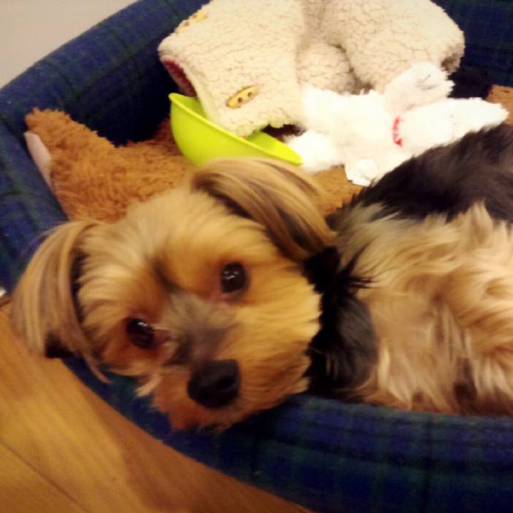 75a5bda9 4d95 400f 9d1c 13b0cd9e4e8c