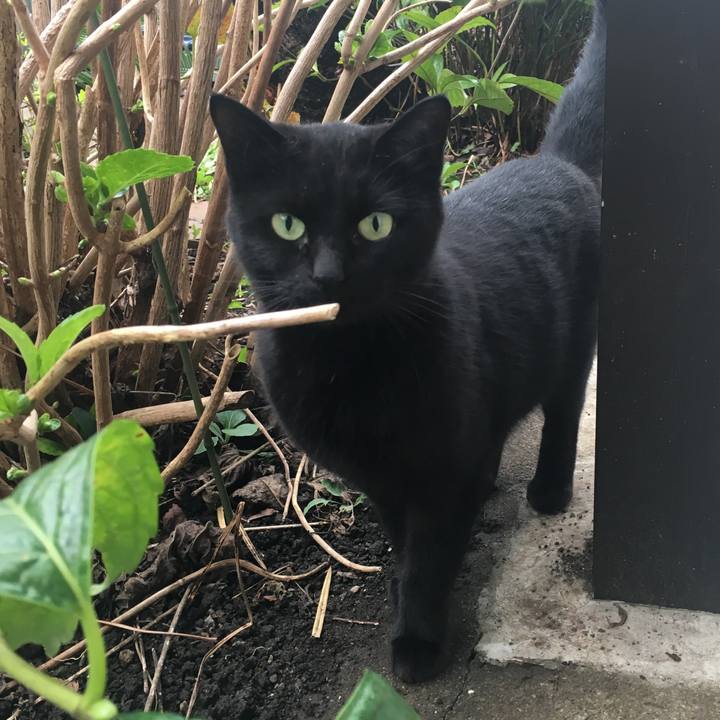 75a7ea43 a529 4a97 9256 dcedf7354e50