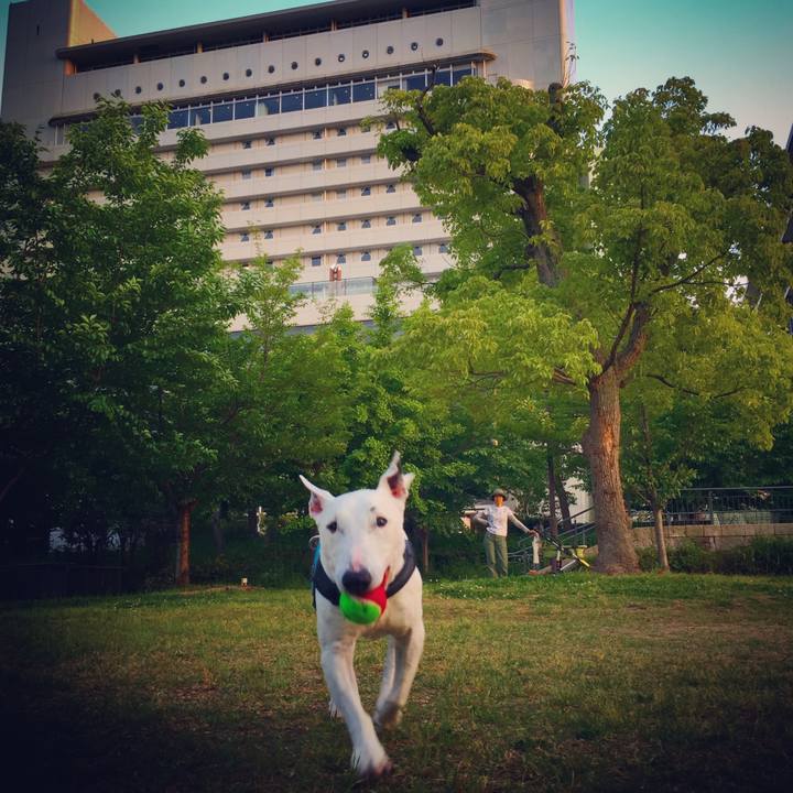 75a83859 e972 421b af4d a45223ae6950