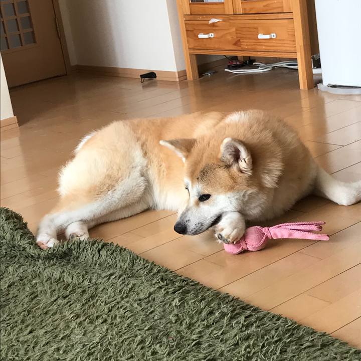 75a84a6a 4b75 4de1 9150 ec4c910a06cc