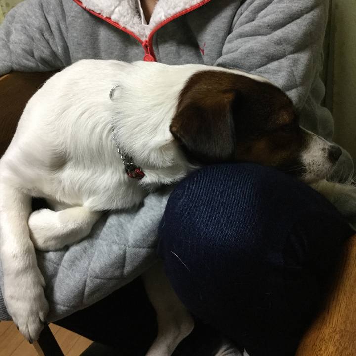 75a87f0c 22d4 4838 8ba2 fd545d4cd0df