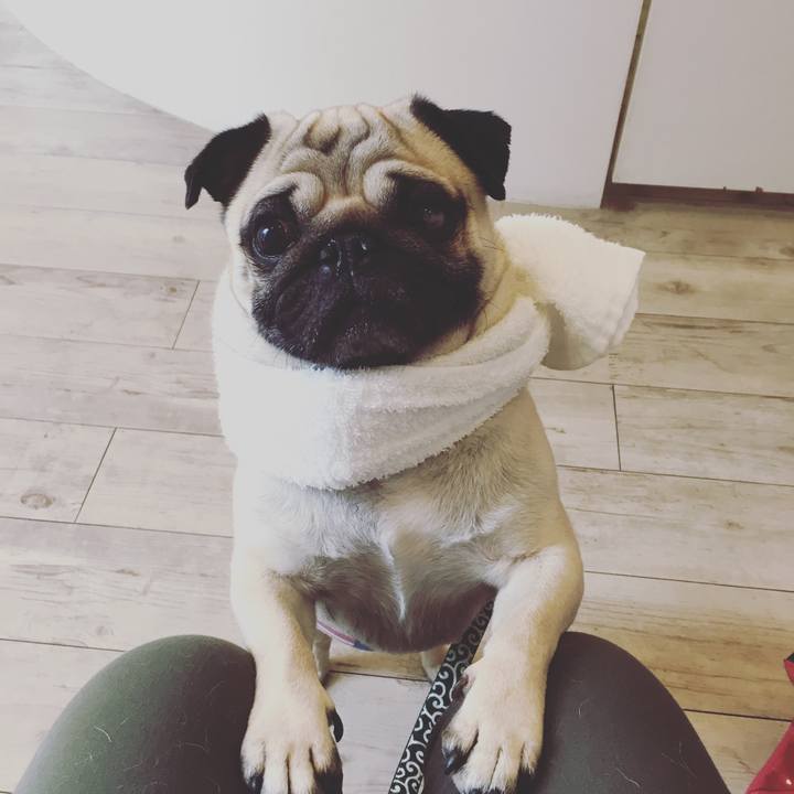 75a896c9 7d51 42da a3e4 29e4970f7030