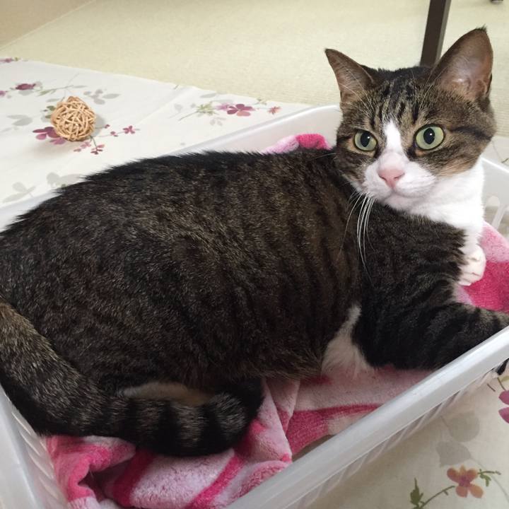 75a8a687 b46c 4c01 9062 d2166606fbcc