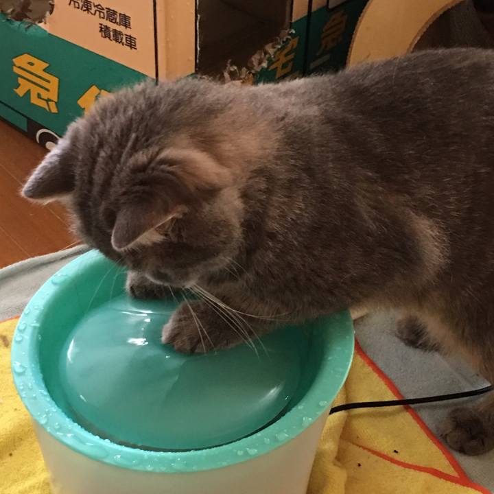 75a945d0 1b4b 4596 9270 35e7112823e3