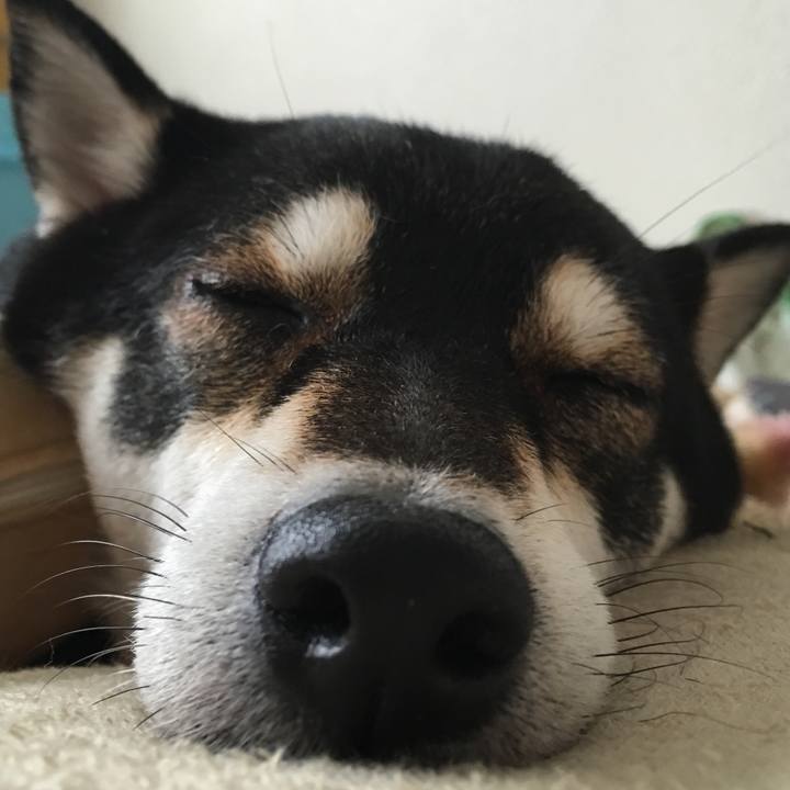 75a9938d cf79 4a8f 9df2 769f22993e3a