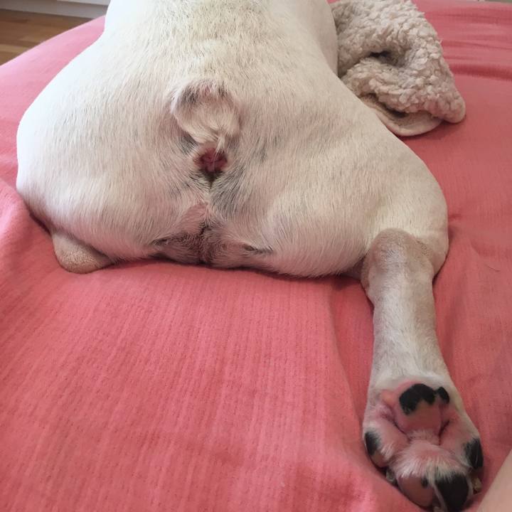 75a9d896 6822 4b1d 8b2d d0f1a30524fe