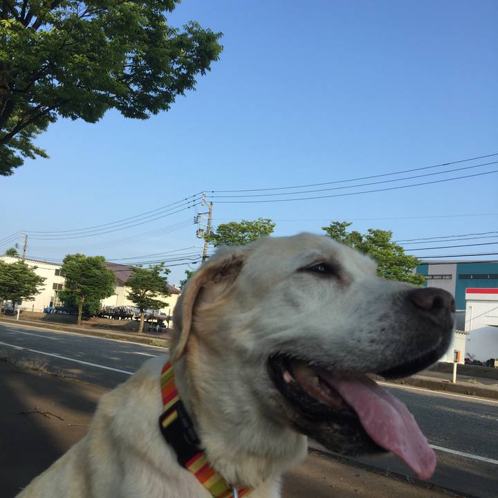 75a9e16a b20f 46fd bf28 40440c5b51f5