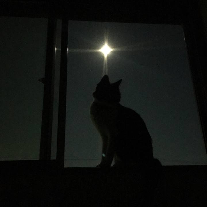 75ab69ef 8af8 4210 843f 7a72deebc7f1