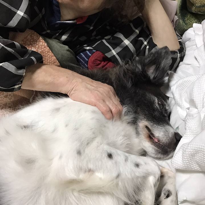 75abbddb 3432 4fe7 8bae 67f1b4d96f6a