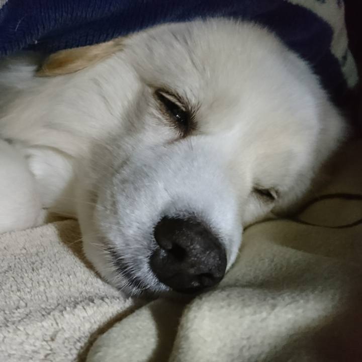 75acb929 7358 4d26 88a4 2191879e0043