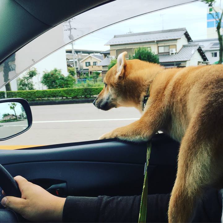 75acc99b 18d3 4602 8ecb 08944a45e738