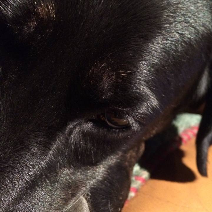 75ad44eb bb5a 400f b083 7d351b506337