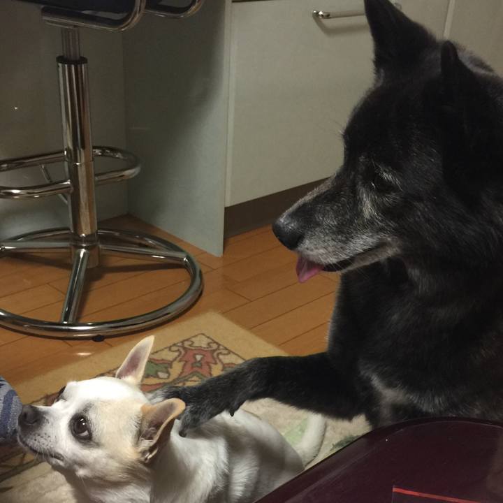 75adf3b2 1396 42ed 8d7a 33c6efe960ae