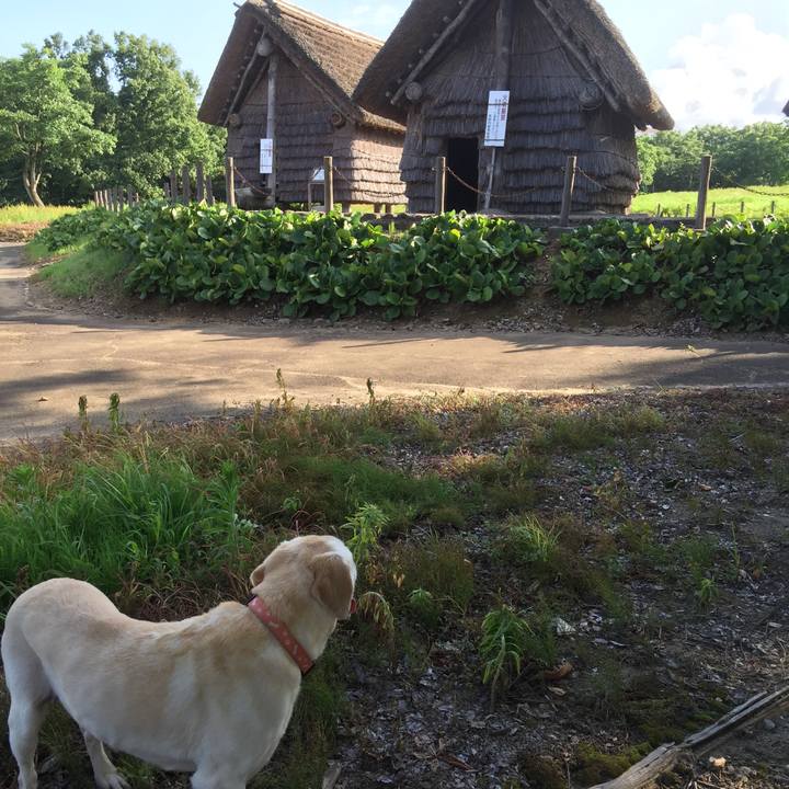 75ae0a03 027b 4934 8a6f ee851bc071de