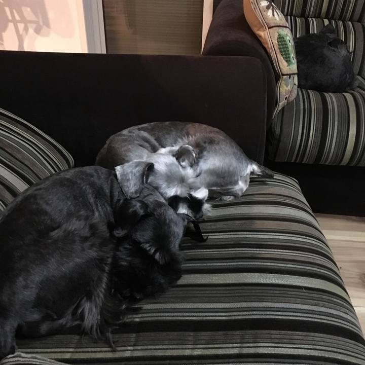 75ae20c4 bd2e 49c1 a8ba 46f1ed292f39