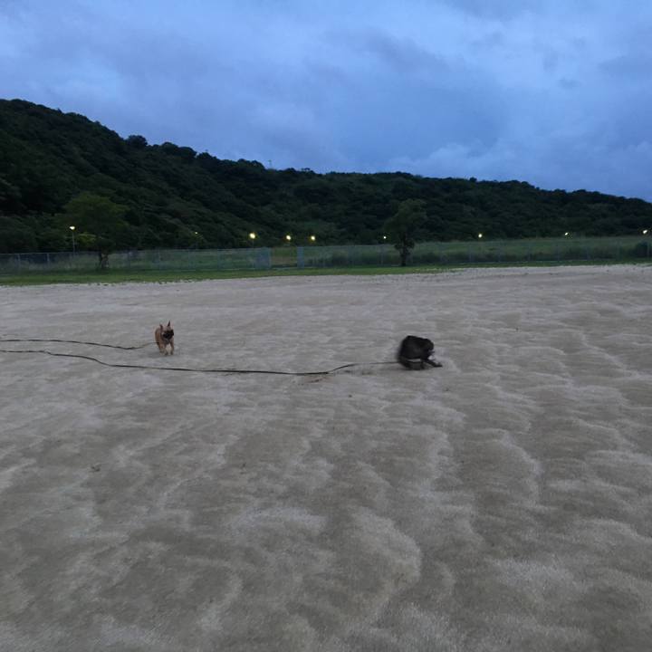 75ae37d5 f3f9 4cda a48a 72e62a047e46