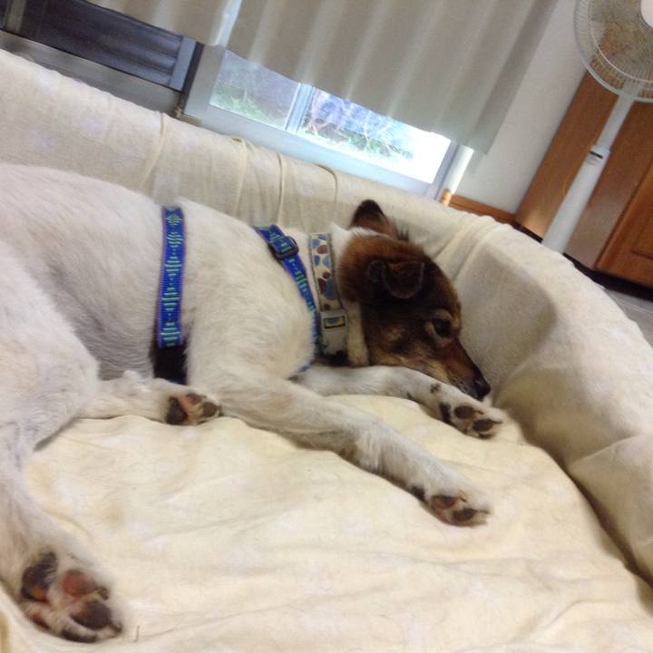 75b07329 ed23 44af aa93 06045b8eb0e7