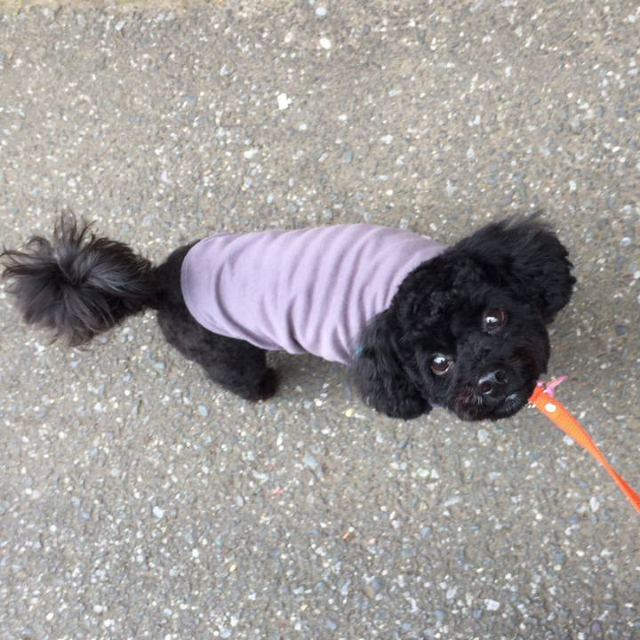 75b07fb0 ae58 405a bb8c 7467d35a98f2