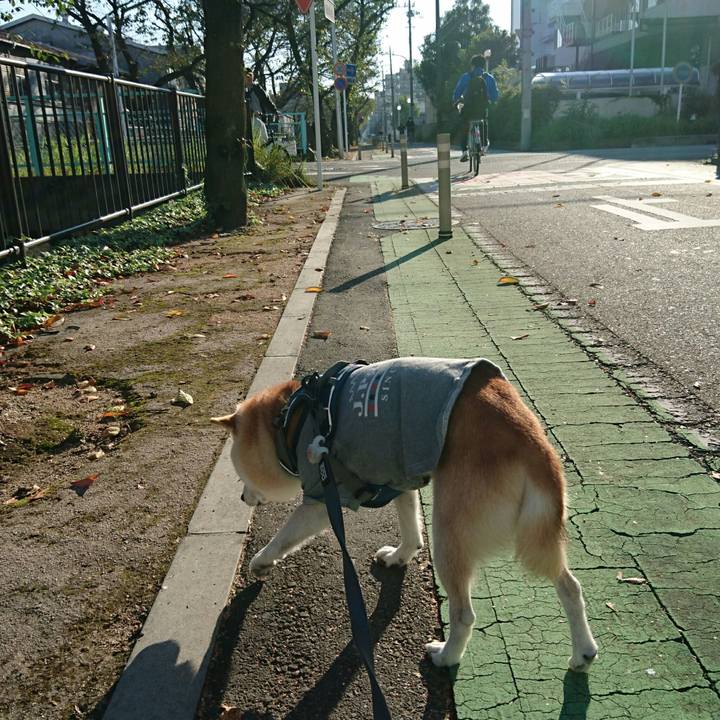 75b09a7b 9a7d 423f 8cb5 78f8cc99255d