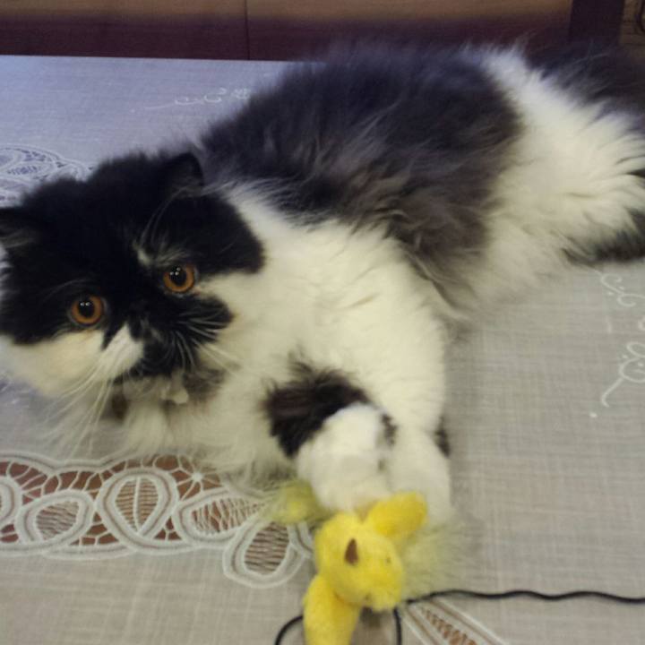 75b0b301 6589 4456 bd15 c3fc68cf36f2