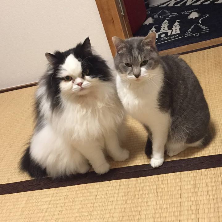 75b0c7c5 a7e7 4b1d 97a0 cfc8f67f097a