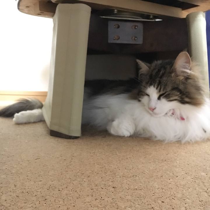 75b0d033 914d 4fff a734 c50b12fba7fa