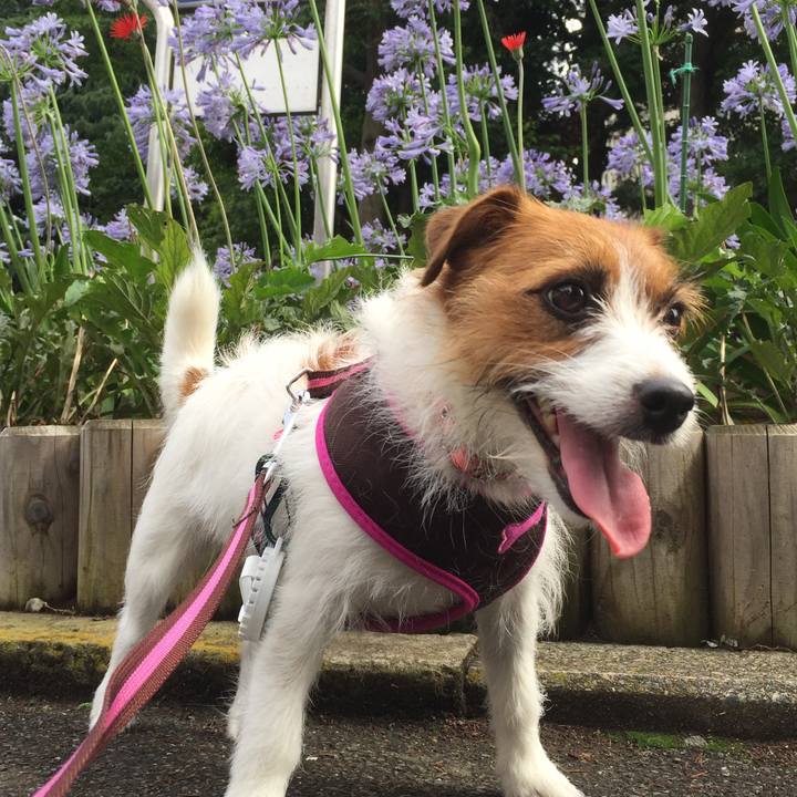 75b130db 5c24 443b a60d 012d4306647c