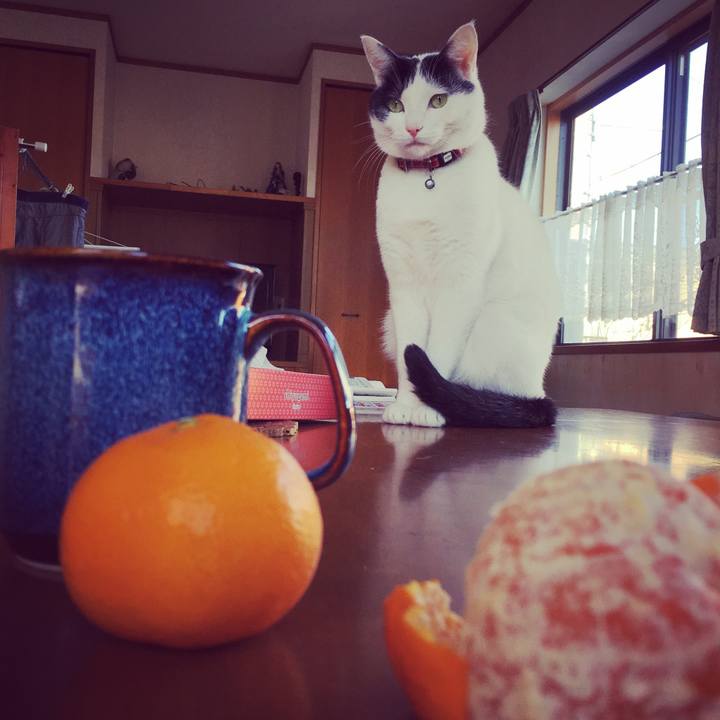 75b1843a c7ff 4c98 bed9 7fb297fadccb