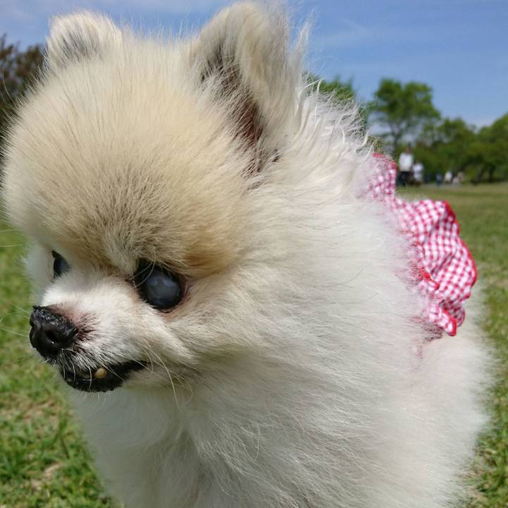 75b18ae0 0dde 49b6 91aa 67db33bf03c2