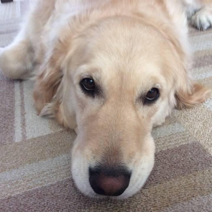 75b1b66d 3d34 49cb 99a5 031b12291744