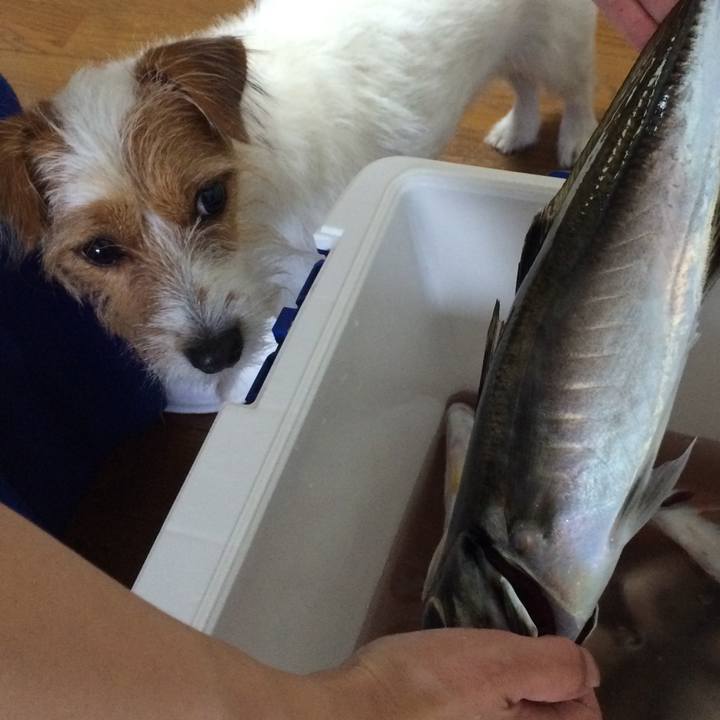 75b1c03a 55d2 4e73 ae42 86f30631b1a4