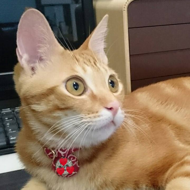 75b1d539 d2cb 4519 9882 5f4eab79aee8