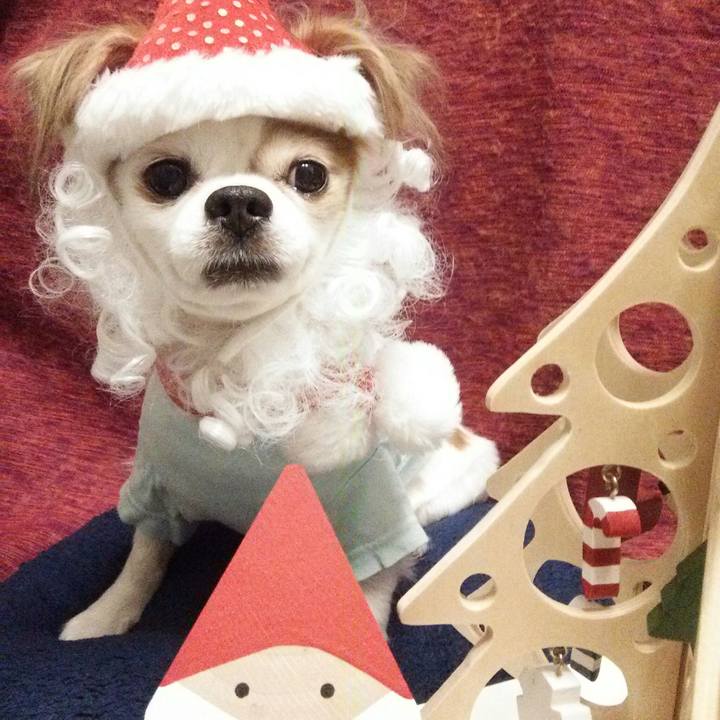 75b275da 9775 461b a3bc 4e3708bed437