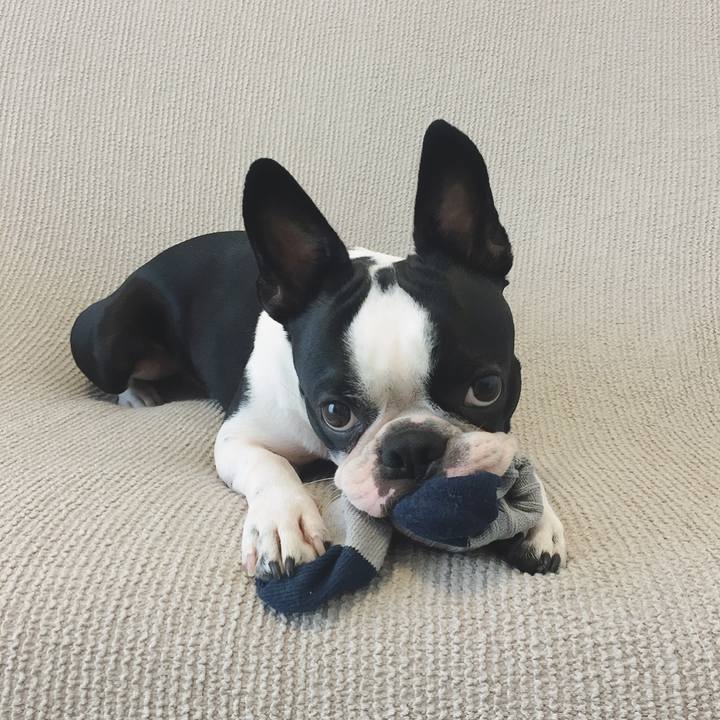 75b28383 e2ed 4d8a a6e1 8894ff611f81