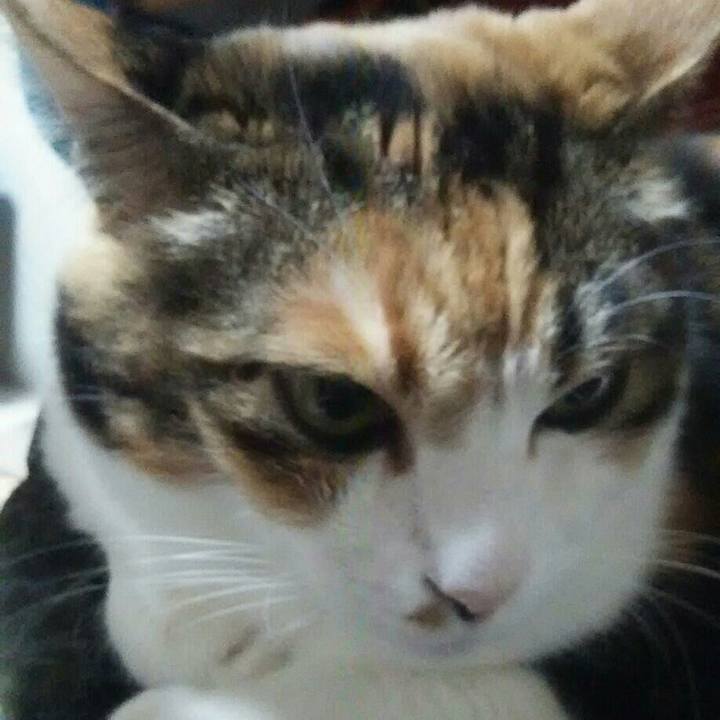 75b2a279 05af 401f 88de 9784e213bff4